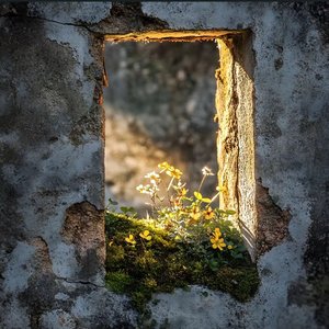 好久不曾再相见