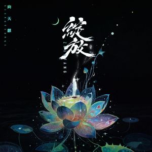 绽放