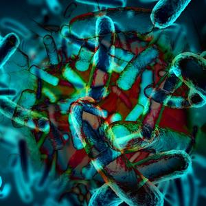 Dystopian Bacteria