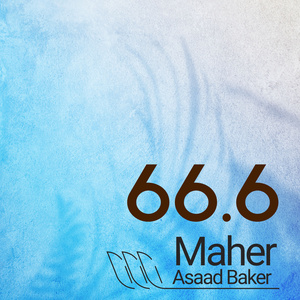 66.6