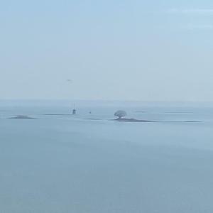 生活不止眼前的苟且