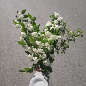 有一天晚上我决定只为你弹琴写歌