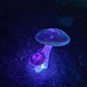 不想让你哭翻唱