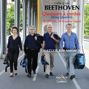 String Quartet No. 14, Op. 131:IV. Andante ma non troppo e molto cantabile moderato