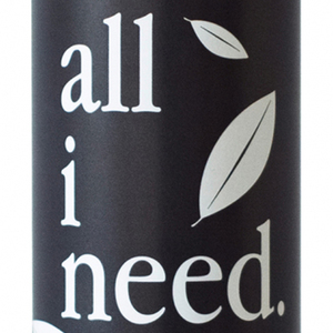 All I Need (Speed Up) (Remix)