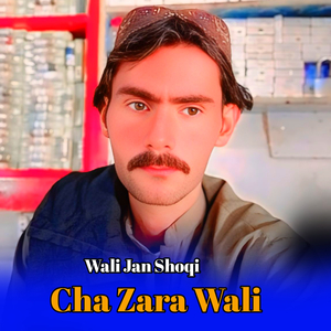 Cha Zara Wali