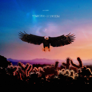 Мысли-птицы