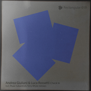 Check In (Terry Whyte's Smooth Flight Remix)