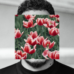 SURPRESA (PROS AMIGOS)}