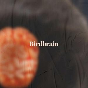 Birdbrain