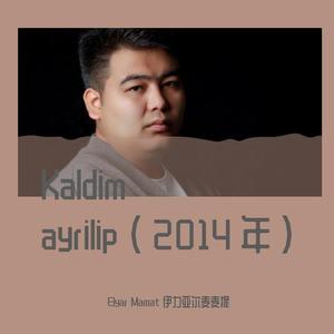Kaldim ayrilip 伴奏