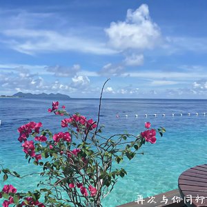 再次与你同行