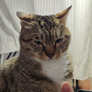 《伍百万处女座》