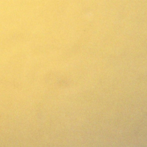 The Reasons I Love You