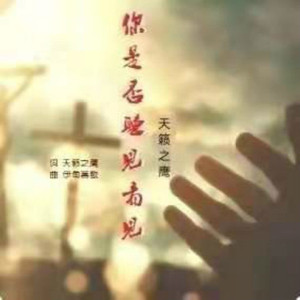 你是否看见听见