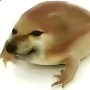 我的刀盾(比比拉布DJ版)