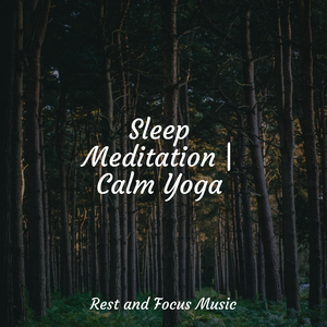 Corners of the Galaxy