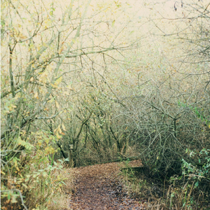 Confluence (Improvisation)