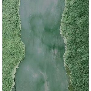 我有一个装满星星的口袋（Psychic remix）