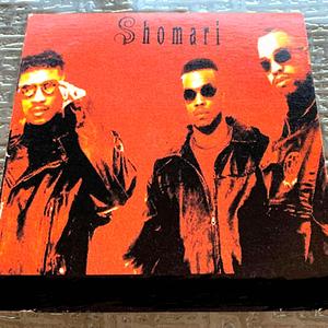 Lady for Life (feat. Teddy Riley)