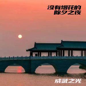 没有烟花的除夕之夜