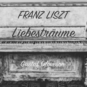 Nocturne No.3, S.541: Oh Lieb, so lang du lieben kannst