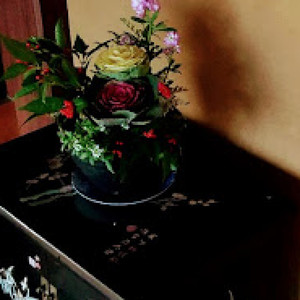 もちもちもっち