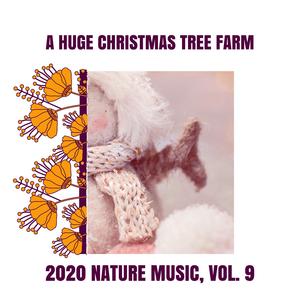 Northern Flicker at Sunrise