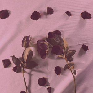 Convalesce