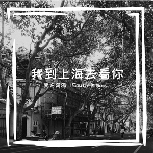 我到上海去看你