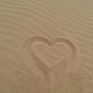 深爱这世界不计代价