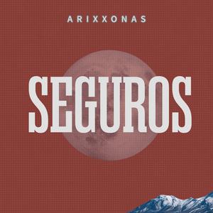 SEGUROS