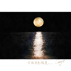 今夜月色很美...