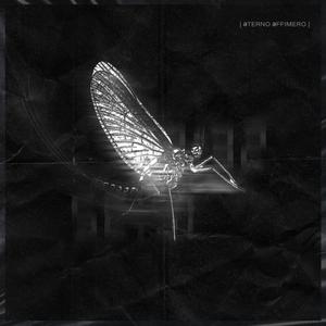 Che fine fa (na na) (feat. ceres & sko)