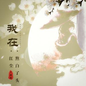 我在红尘熬白了头