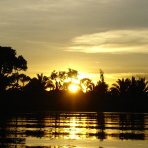 River from Amazon Collection