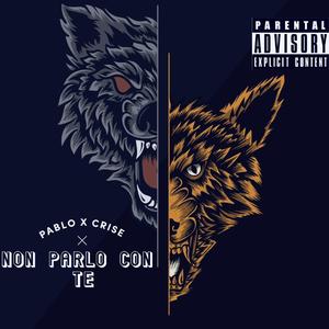 NON PARLO CON TE (feat. PABLO AL)