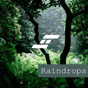 Raindrops