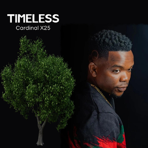 Hupenyu (feat. Seh Calaz)