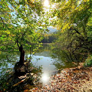 Backwoods (Instrumental)