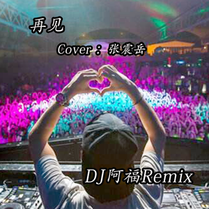 张震岳-再见（DJ阿福 / 爱唱歌的小跟班 remix）