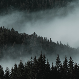 Rain Sounds White Noise