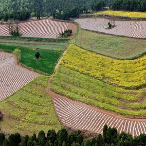 洛宁(Prod by Mr.Nine)