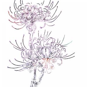 ПАЧКА ЦВЕТОВ prod. MIFI