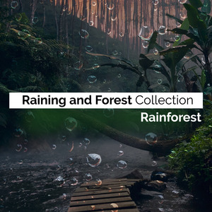 The Rain Nest