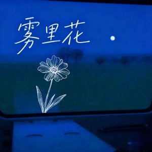 雾里花