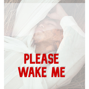 Please Wake Me