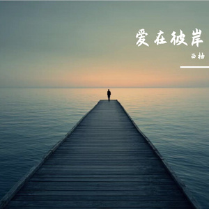 爱在彼岸