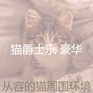柔和的猫在家时刻