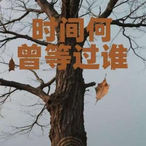 时间何曾等过谁